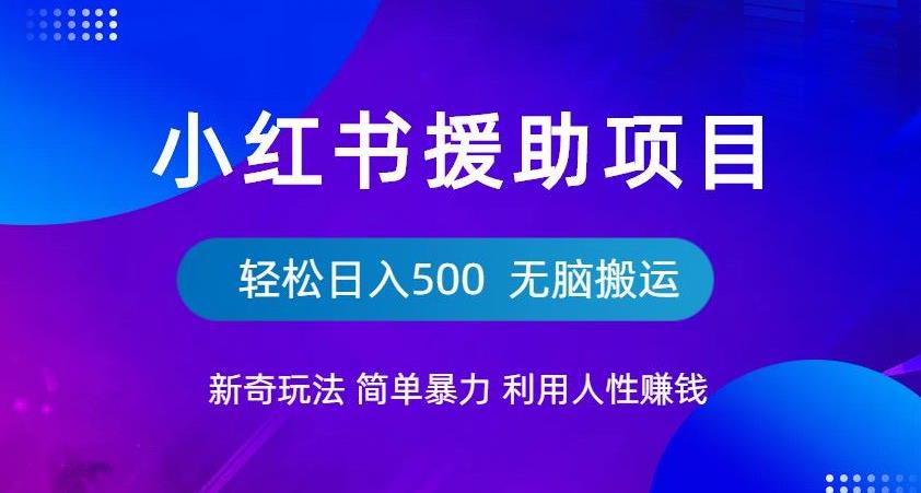 小红书援助项目新奇玩法，简单暴力，无脑搬运轻松日入500【揭秘】-小齐资源库