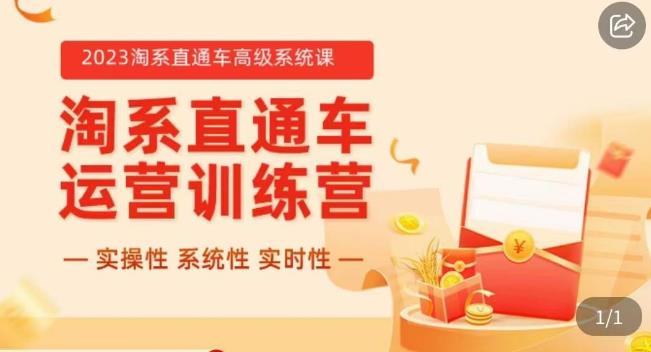 冠东·2023淘系直通车高级系统课，​实操性，系统性，实时性，直通车完整体系教学-小齐资源库