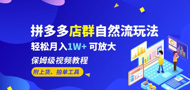 拼多多店群自然流玩法，轻松月入1W+保姆级视频教程（附上货、拍单工具）-小齐资源库