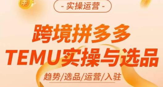 伍跃·跨境拼多多TEMU实操与选品，​趋势/选品/运营/入住（27节完整）-小齐资源库