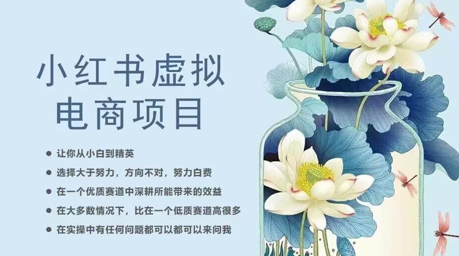 小红书虚拟电商从0到1，让你从小白到精英（20节实操课程）-小齐资源库
