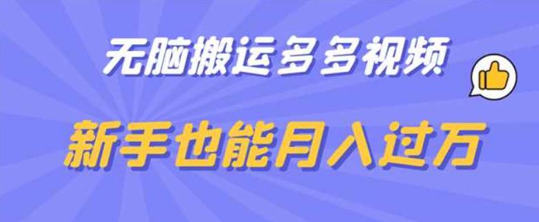 无脑搬运多多视频，新手也能月入过万【揭秘】-小齐资源库