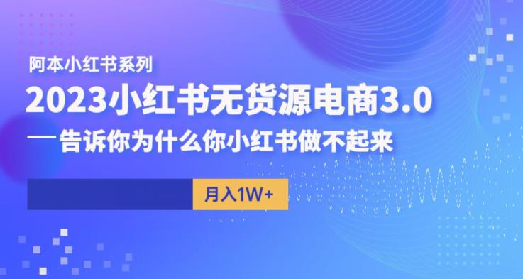 阿本小红书无货源电商3.0，告诉你为什么你小红书做不起来-小齐资源库