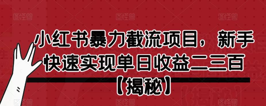 小红书暴力截流项目，新手快速实现单日收益二三百【仅揭秘】-小齐资源库