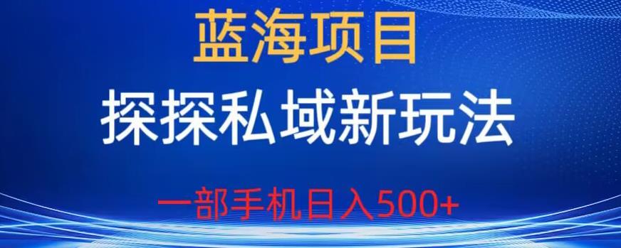 蓝海项目，探探私域新玩法，一部手机日入500+很轻松【揭秘】-小齐资源库