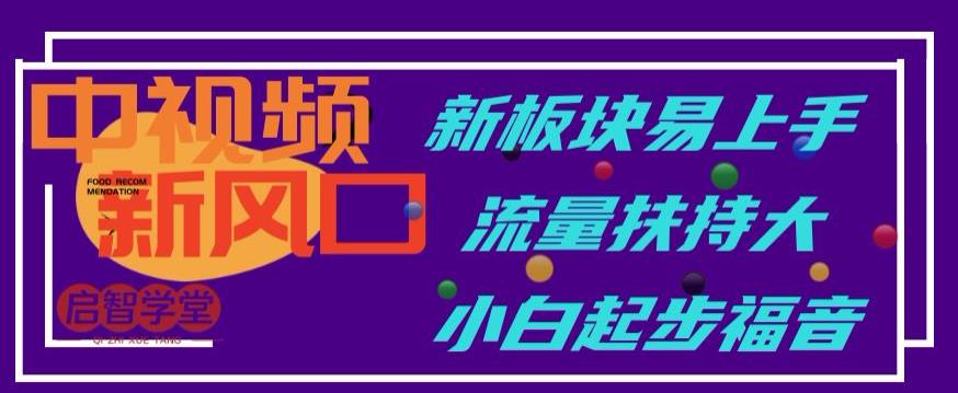 中视频新风口，新板块易上手，流量扶持大，小白起步福音【揭秘】-小齐资源库