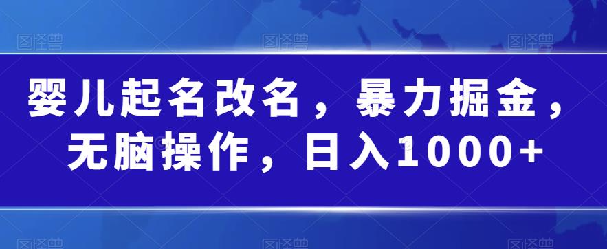婴儿起名改名，暴力掘金，无脑操作，日入1000+【揭秘】-小齐资源库