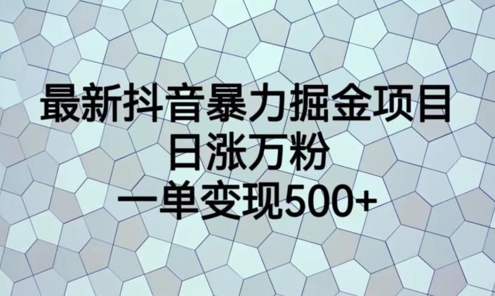最新抖音暴力掘金项目，日涨万粉，一单变现500+【揭秘】-小齐资源库