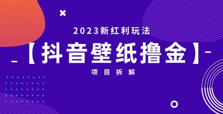 抖音壁纸小程序创作者撸金项目，2023新红利玩法【项目拆解】-小齐资源库