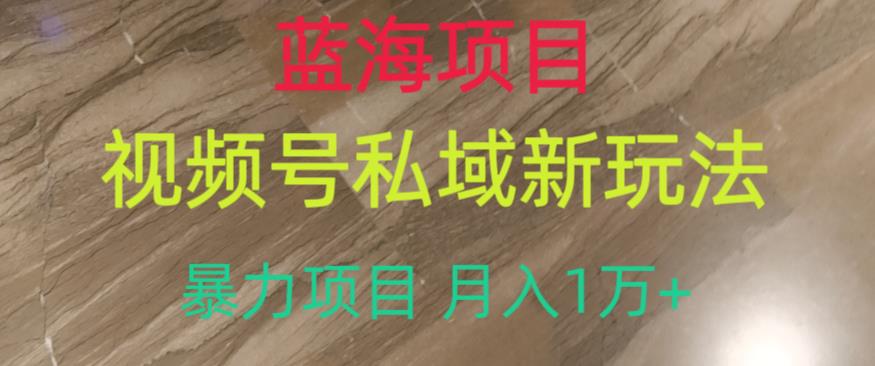蓝海项目，视频号私域新玩法，暴力项目月入1万+【揭秘】-小齐资源库