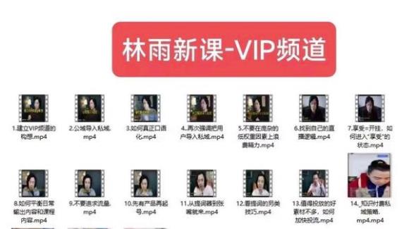 林雨新课VIP频道，玩赚私域/朋友圈/社群-小齐资源库