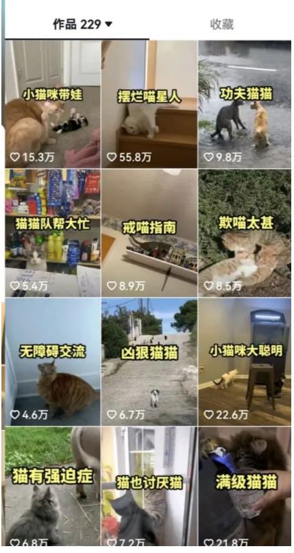 拆解：抖音盘点类中视频变现副业项目，视频版一条龙大解析分享给你-小齐资源库