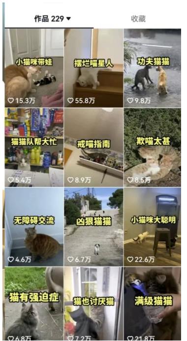 拆解抖音盘点类中视频变现副业项目，视频版一条龙大解析分享给你【视频课程】-小齐资源库