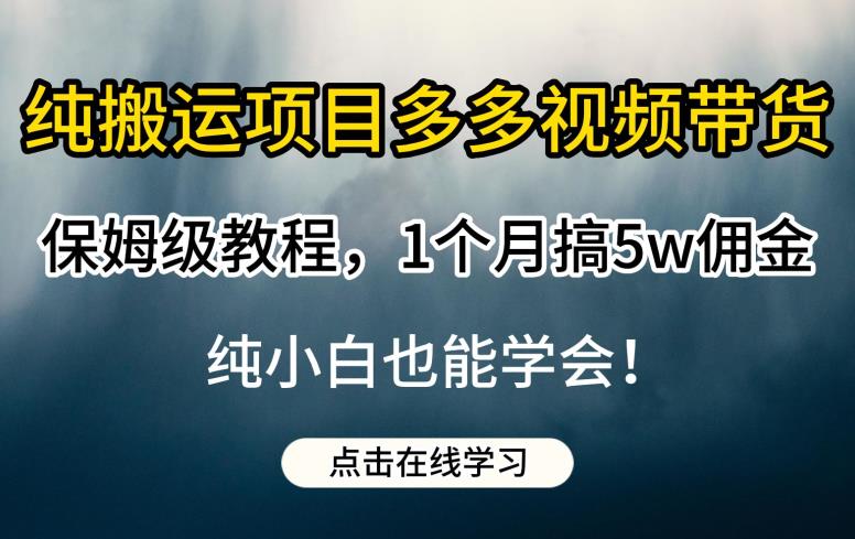 纯搬运项目多多视频带货保姆级教程，1个月搞5w佣金，纯小白也能学会【揭秘】-小齐资源库