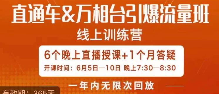 直通车&万相台引爆流量班，6天打通你开直通车·万相台的任督二脉-小齐资源库