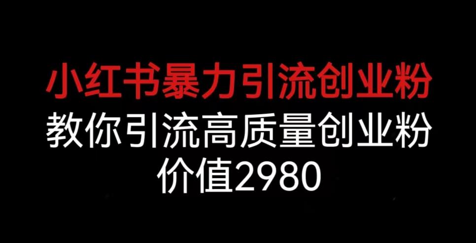 小红书暴力引流创业粉，教你引流高质量创业粉，价值2980【揭秘】-小齐资源库