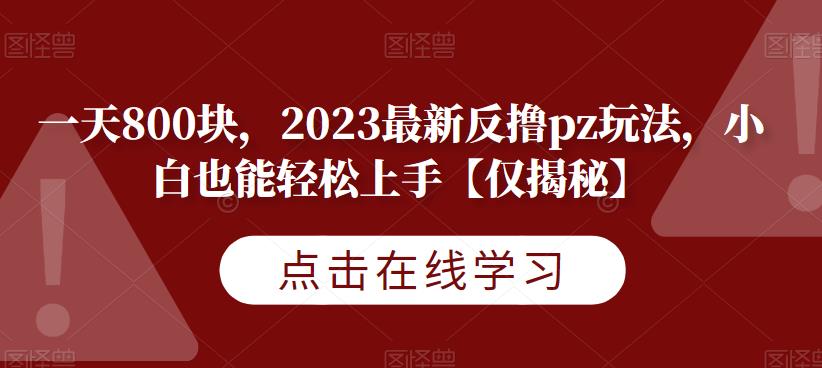一天800块，2023最新反撸pz玩法，小白也能轻松上手【仅揭秘】-小齐资源库
