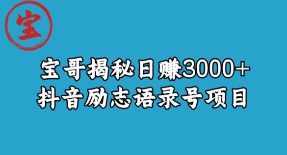 宝哥揭秘日赚3000+抖音励志语录号短视频变现项目-小齐资源库