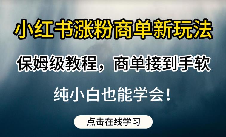 小红书涨粉商单新玩法，保姆级教程，商单接到手软，纯小白也能学会【揭秘】-小齐资源库