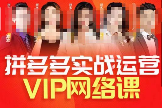 推易拼多多VIP全套直播课程，拼多多店铺实操玩法+实战玩法选款内功+直通车高阶等-小齐资源库