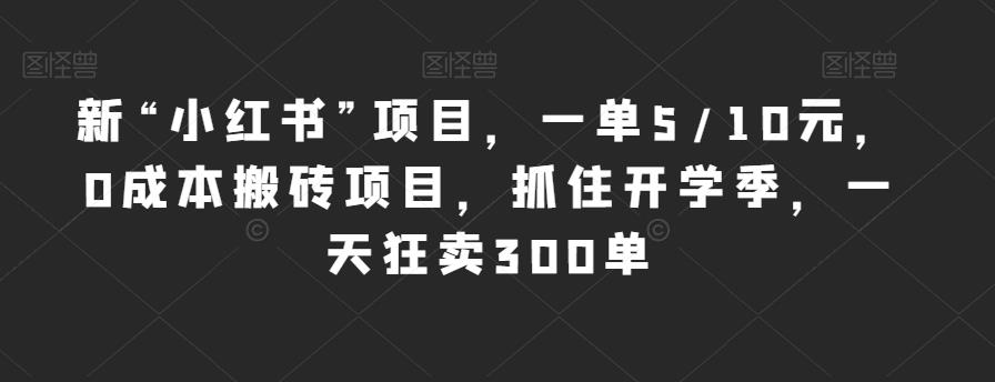 新“小红书”项目，一单5/10元，0成本搬砖项目，抓住开学季，一天狂卖300单【揭秘】-小齐资源库