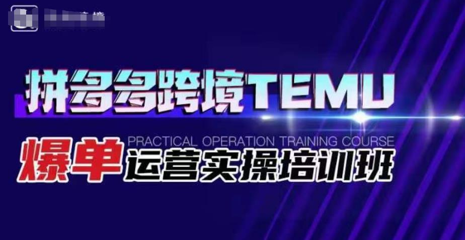 拼多多跨境TEMU爆单运营实操培训班，海外拼多多的选品、运营、爆单-小齐资源库