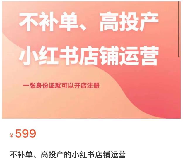 不补单、高投产的小红书店铺运营，一张身份证就可以开店注册-小齐资源库
