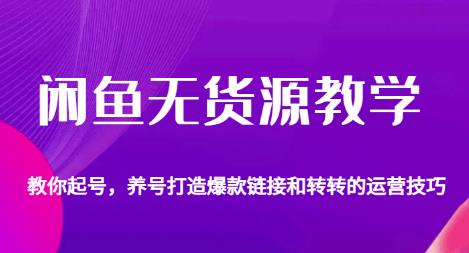 闲鱼无货源教学，教你起号，养号打造爆款链接以及转转的运营技巧-小齐资源库