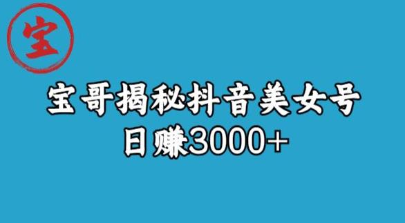 宝哥揭秘抖音美女号玩法，日赚3000+【揭秘】-小齐资源库