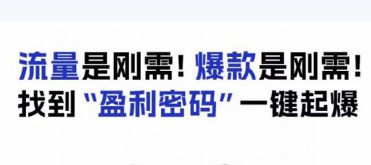 电商盈利精品课：6大盈利密码让产品更好卖，流量是刚需！爆款是刚需！找到”盈利密码”一键起爆-小齐资源库