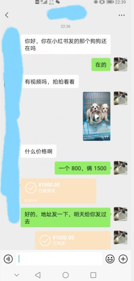 外边收费3980的同城萌宠项目，用最冷门的玩法冲击最热门的市场【揭秘】-小齐资源库