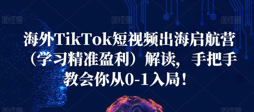 海外TikTok短视频出海启航营（学习精准盈利）解读，手把手教会你从0-1入局！-小齐资源库