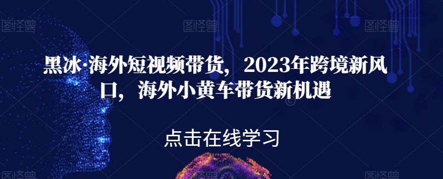 黑冰·海外短视频带货，2023年跨境新风口，海外小黄车带货新机遇-小齐资源库