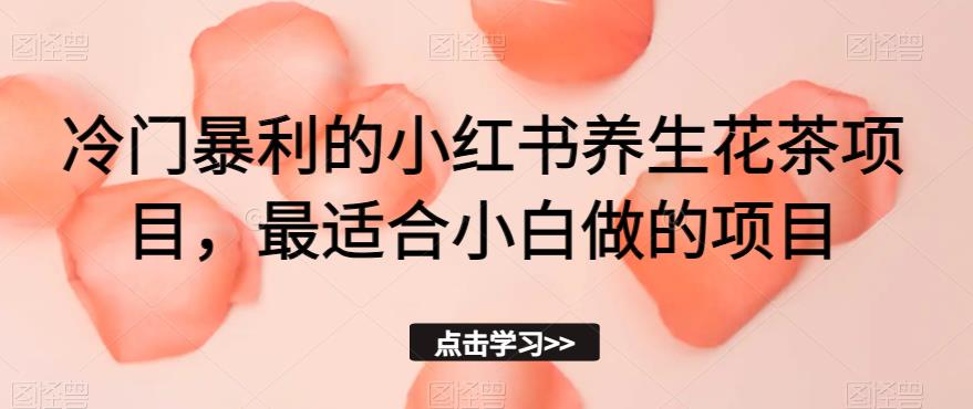 冷门暴利的小红书养生花茶项目，最适合小白做的项目【揭秘】-小齐资源库