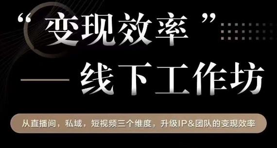 变现效率线下工作坊，从‮播直‬间、私域、‮视短‬频‮个三‬维度，升级IP和团队变现效率-小齐资源库