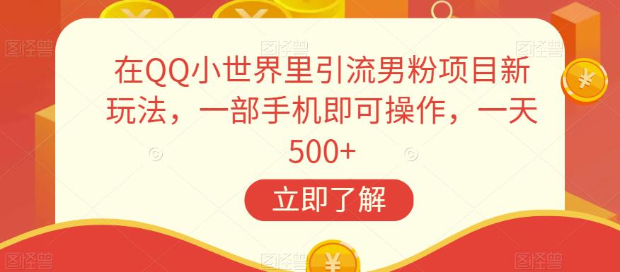 在QQ小世界里引流男粉项目新玩法，一部手机即可操作，一天500+【揭秘】-小齐资源库