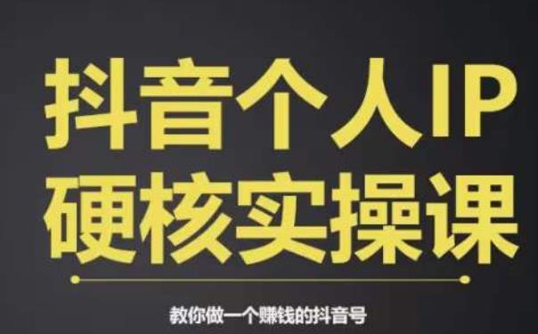 个人IP创富系统实战课，商业定位，流量打造，短视频变现，教你做个赚钱的抖音号-小齐资源库