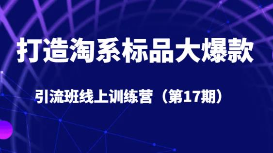 打造淘系标品大爆款引流班线上训练营（第17期）5天直播授课-小齐资源库