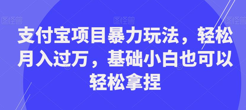 支付宝项目暴力玩法，轻松月入过万，基础小白也可以轻松拿捏【揭秘】-小齐资源库
