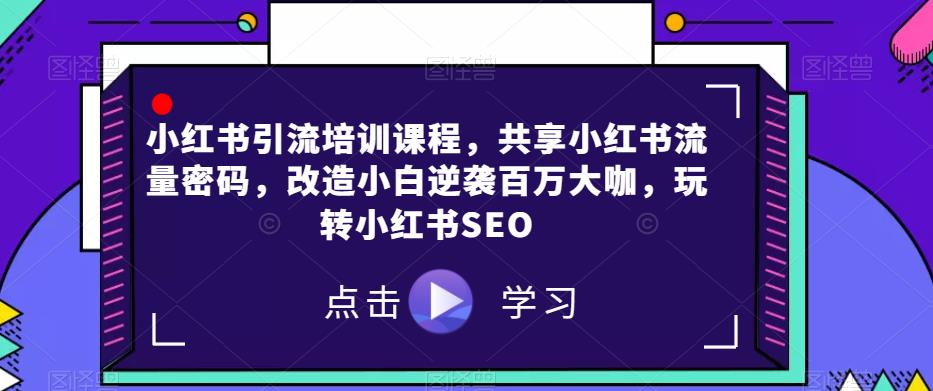小红书引流培训课程，共享小红书流量密码，改造小白逆袭百万大咖，玩转小红书SEO-小齐资源库