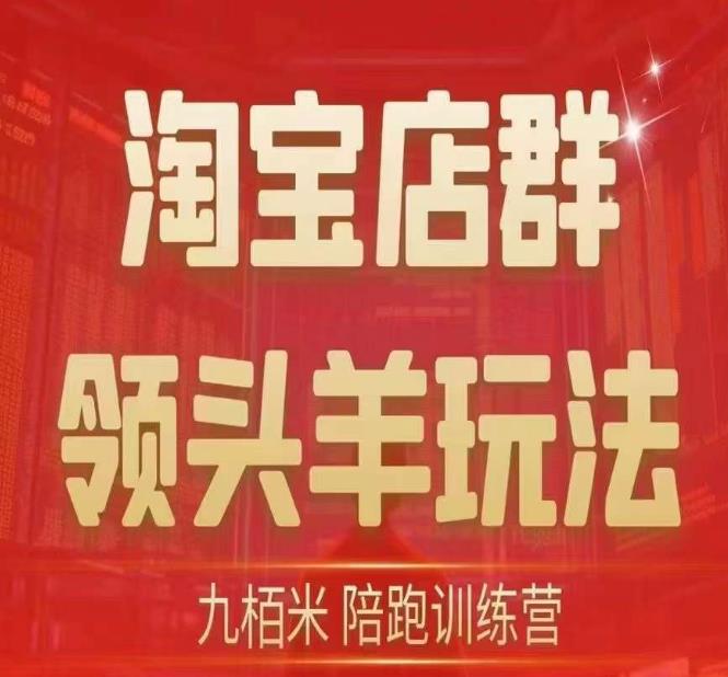 九栢米-淘宝店群领头羊玩法，教你整个淘宝店群领头羊玩法以及精细化/终极蓝海/尾销等内容-小齐资源库