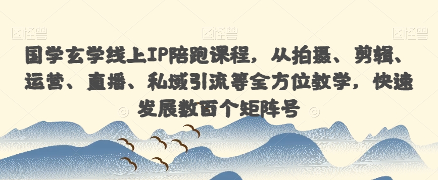 国学玄学线上IP陪跑课程，从拍摄、剪辑、运营、直播、私域引流等全方位教学，快速发展数百个矩阵号-小齐资源库