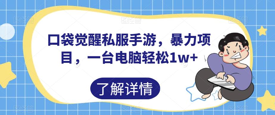 口袋觉醒私服手游，暴力项目，一台电脑轻松1w+【揭秘】-小齐资源库