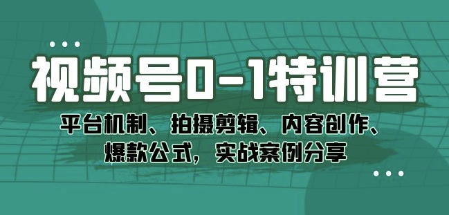 视频号0-1特训营：平台机制、拍摄剪辑、内容创作、爆款公式，实战案例分享-小齐资源库