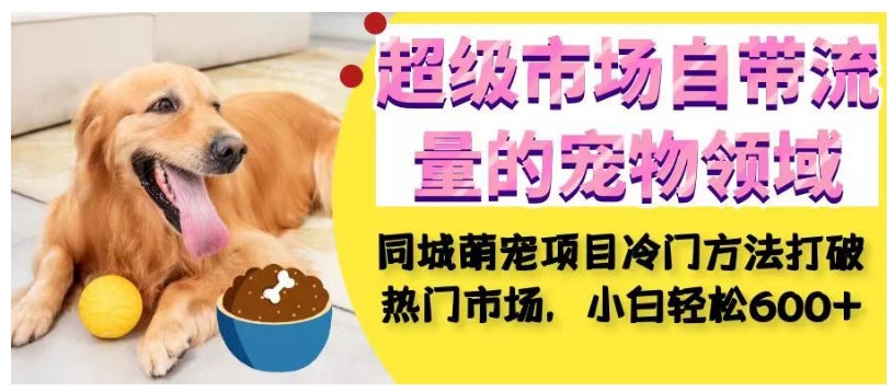 超级市场自带流量的宠物领域，同城萌宠项目冷门方法打破热门市场，小白轻松600+-小齐资源库