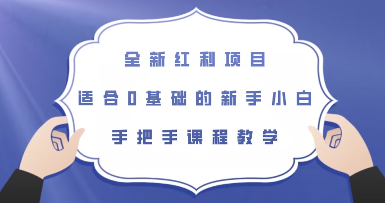 全新红利项目，适合0基础的新手小白，手把手课程教学【揭秘】-小齐资源库