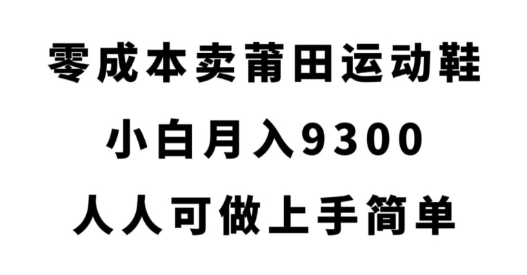 零成本卖莆田运动鞋，小白月入9300，人人可做上手简单【揭秘】-小齐资源库