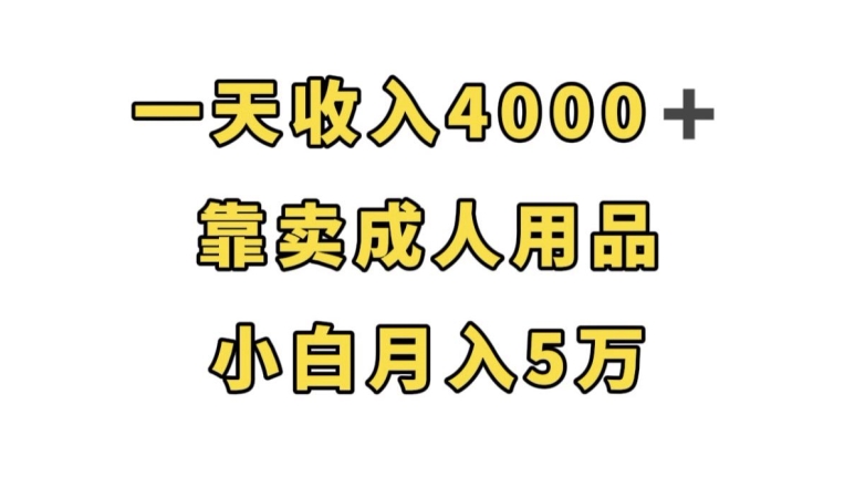 一天收入4000+，靠卖成人用品，小白轻松月入5万【揭秘】-小齐资源库