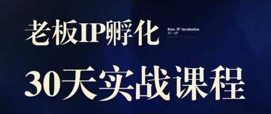 诸葛·2023老板IP实战课，实体同城引流获客，IP孵化必听-小齐资源库
