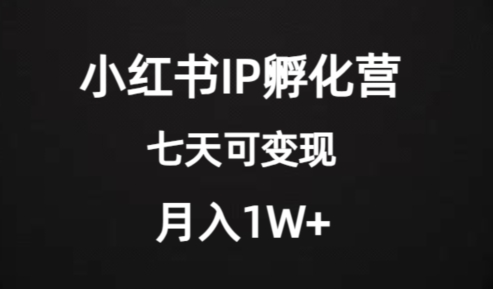 价值2000+的小红书IP孵化营项目，超级大蓝海，七天即可开始变现，稳定月入1W+-小齐资源库